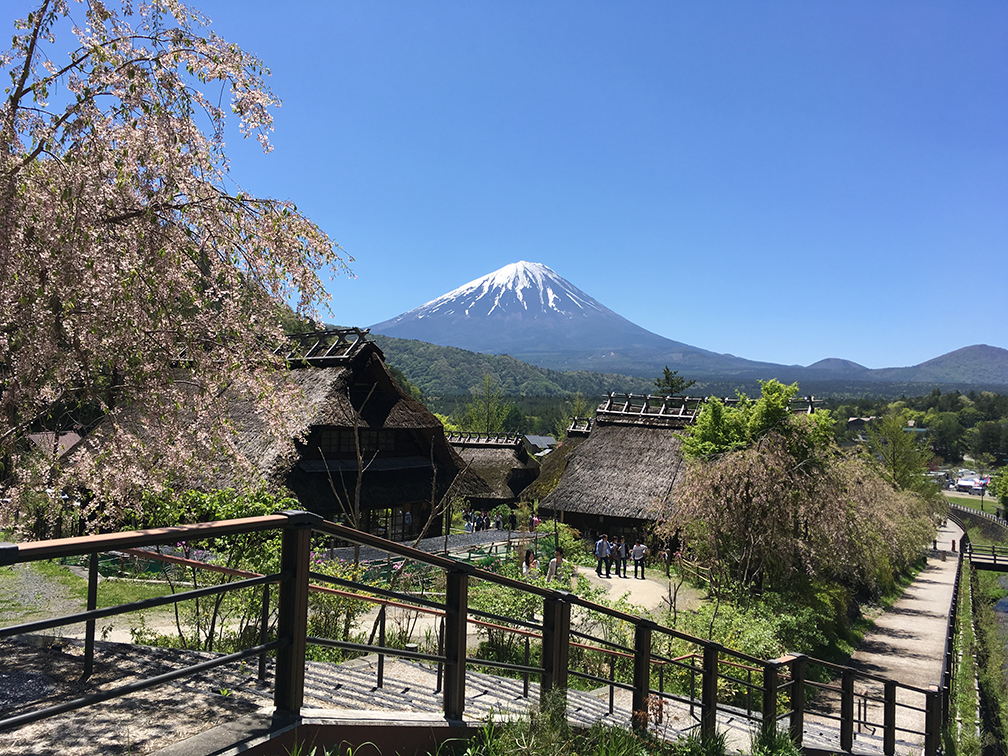 富士を望む絶景